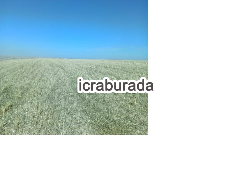 icralık  m2 Tarla Nevşehir Kozaklı Belekli