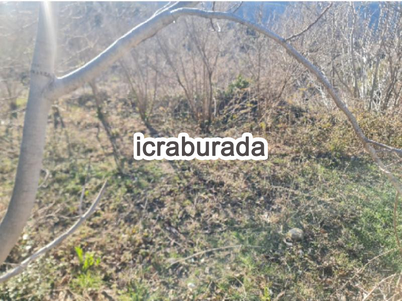 icralık  m2 Arsa Adana Karaisalı Etekli