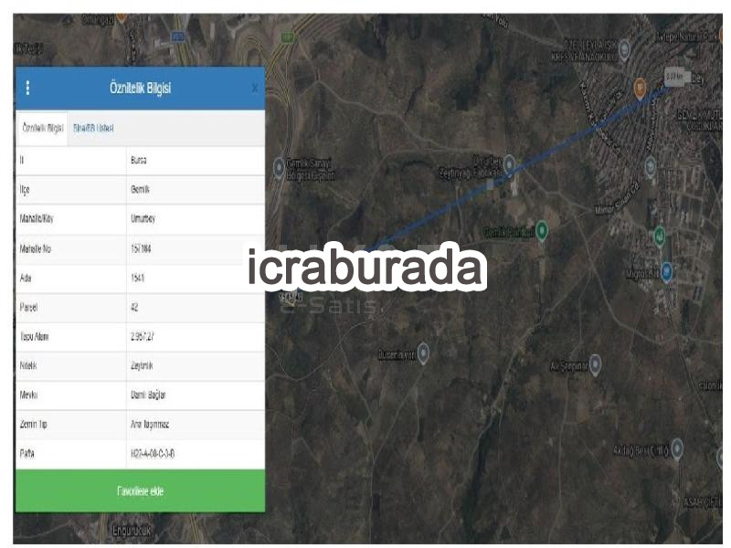 icralık  m2 Tarla Bursa Gemlik Umurbey