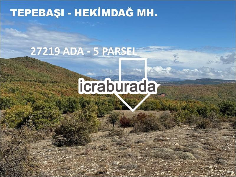 icralık  m2 Tarla Eskişehir Tepebaşı Hekimdağ