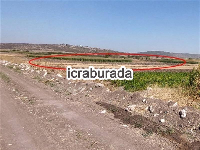 icralık  m2 Tarla Balıkesir Altıeylül Pamukçu