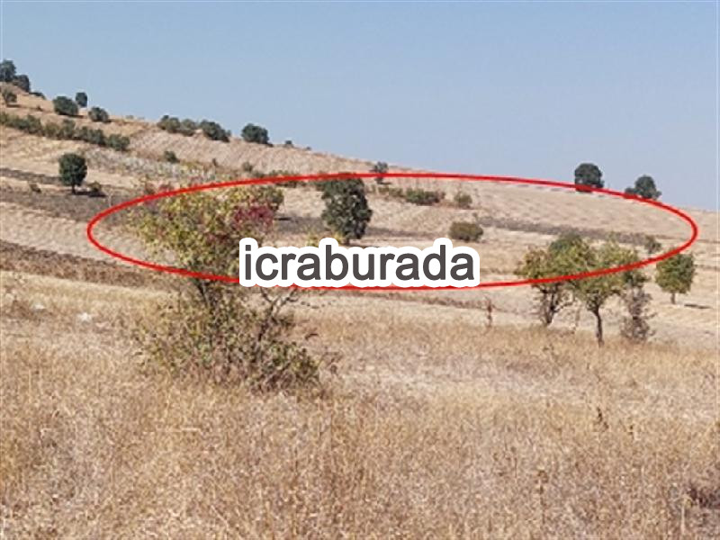 icralık  m2 Tarla Balıkesir Altıeylül Pamukçu