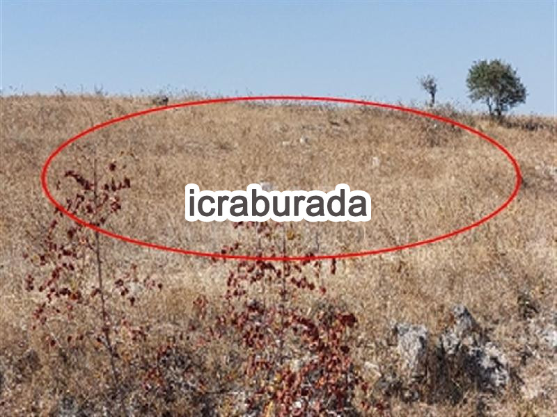 icralık  m2 Tarla Balıkesir Altıeylül Pamukçu