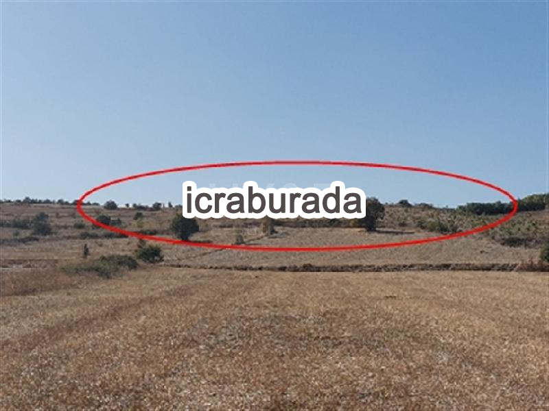icralık  m2 Tarla Balıkesir Altıeylül Pamukçu