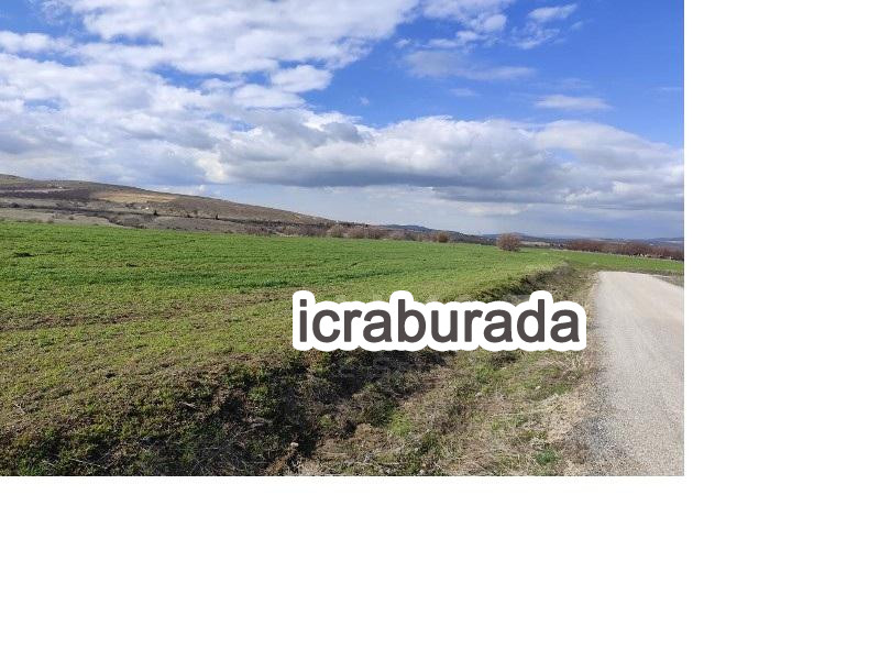 icralık  m2 Tarla Elazığ Merkez Öksüzuşaği