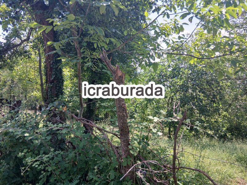 icralık  m2 Arsa Zonguldak Çaycuma Akçahatipler