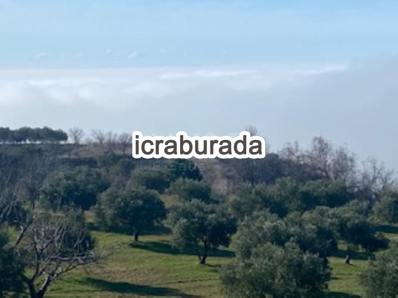 icralık  m2 Bag Tekirdağ Şarköy Çinarli