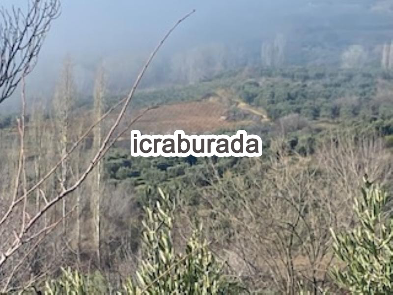icralık  m2 Bag Tekirdağ Şarköy Çinarli