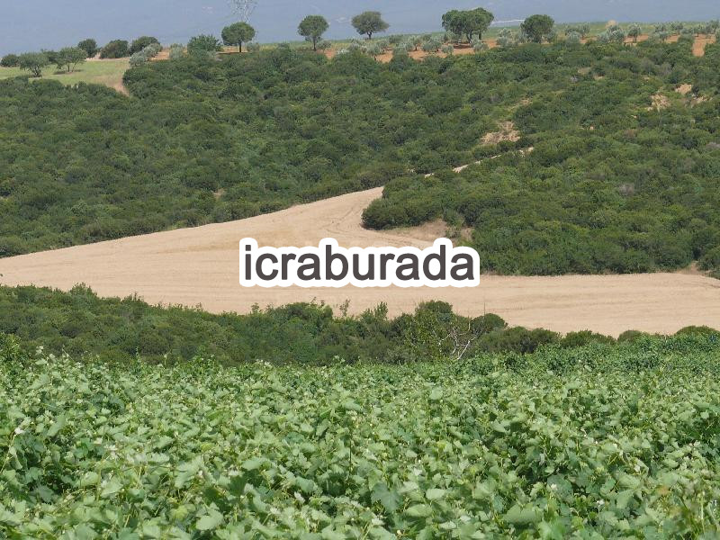 icralık  m2 Tarla Tekirdağ Şarköy Yeniköy