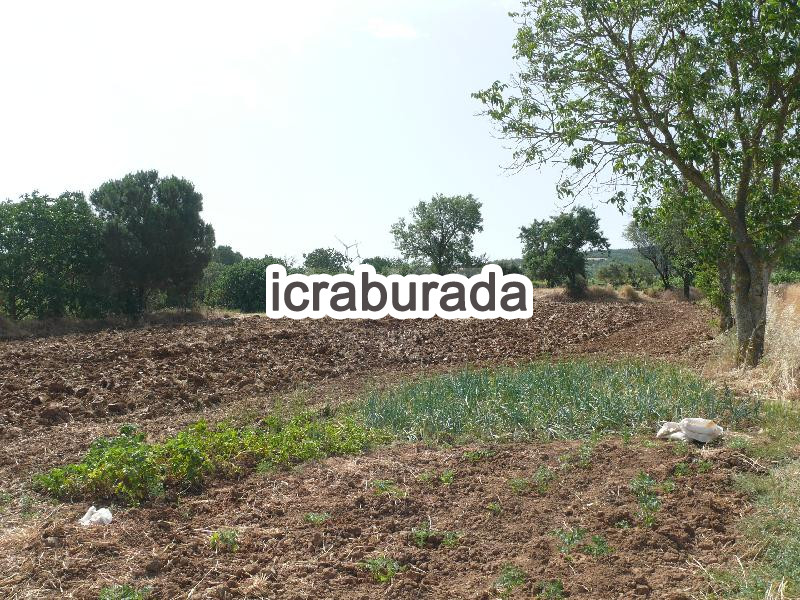 icralık  m2 Bag Tekirdağ Şarköy Yeniköy
