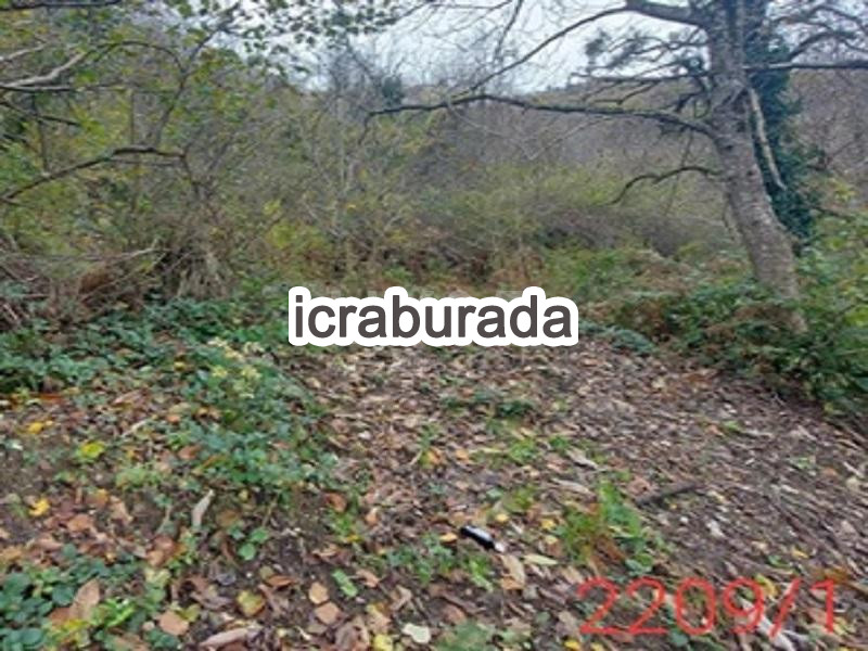 icralık  m2 Tarla Zonguldak Ereğli Bali
