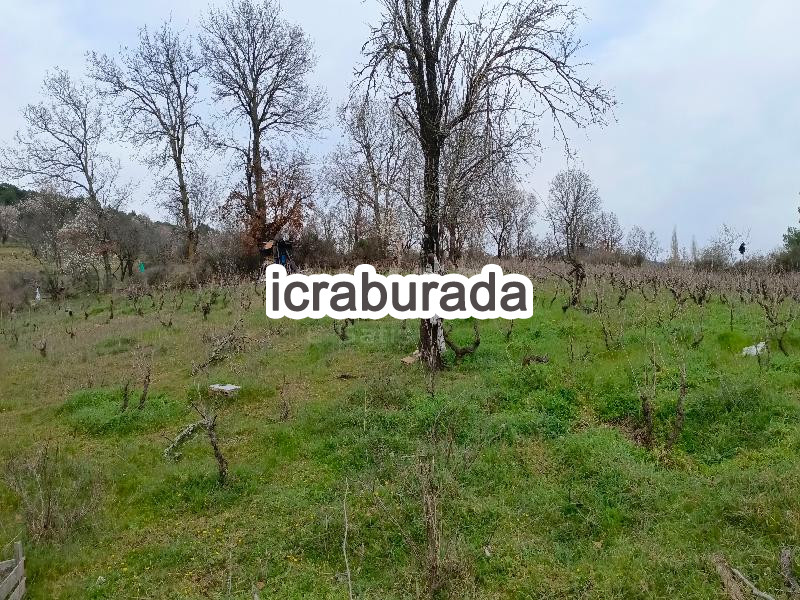icralık  m2 Bag Çanakkale Bayramiç Tongurlu
