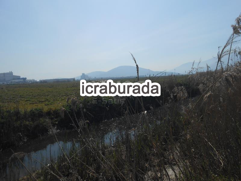 icralık  m2 Tarla İzmir Torbalı Pamukyazi
