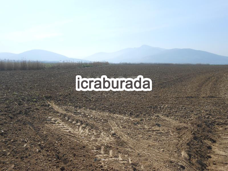 icralık  m2 Tarla İzmir Torbalı Pamukyazi