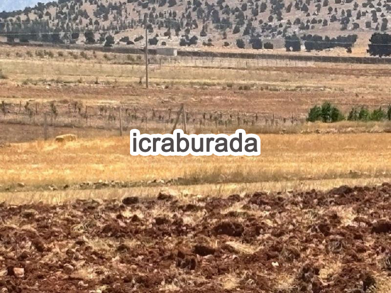 icralık  m2 Tarla Antalya Korkuteli Simandir