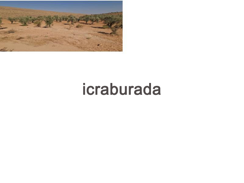 icralık  m2 Tarla Gaziantep Oğuzeli Subaşi