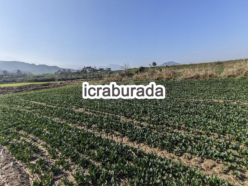 icralık  m2 Arsa Manisa Salihli Caferbey