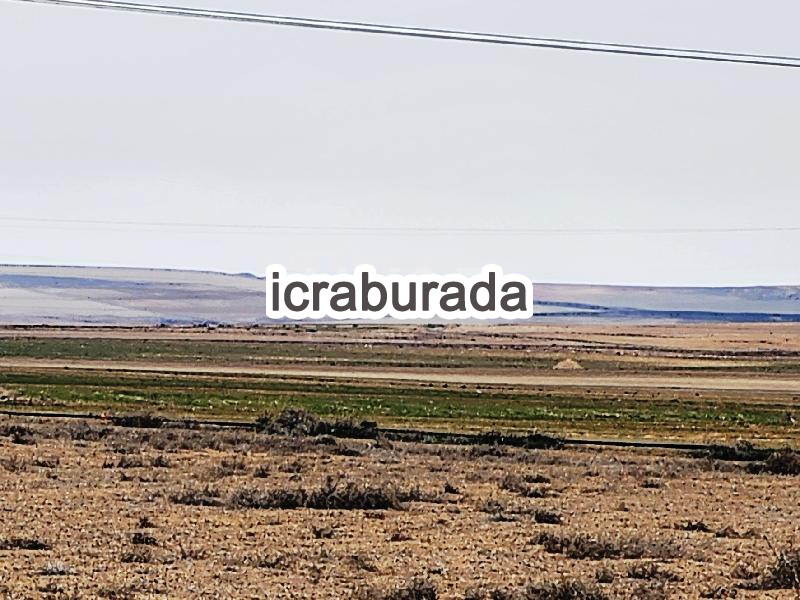 icralık  m2 Tarla Konya Kulu Fevziye