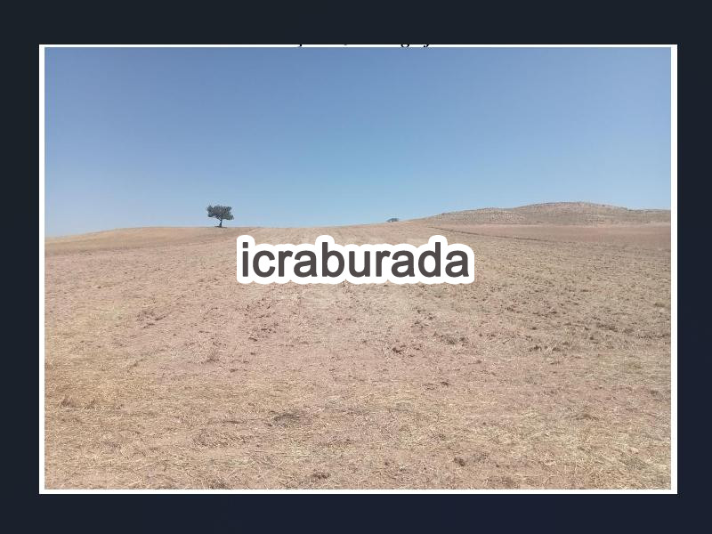 icralık  m2 Bag Afyonkarahisar Emirdağ Umraniye