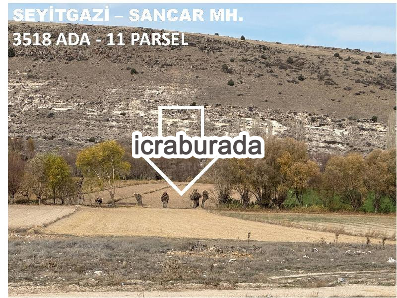 icralık  m2 Tarla Eskişehir Seyitgazi Sancar