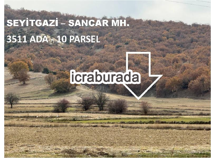 icralık  m2 Tarla Eskişehir Seyitgazi Sancar