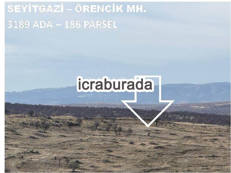 icralık  m2 Tarla Eskişehir Seyitgazi Örencik