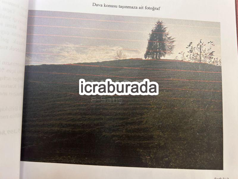 icralık  m2 Tarla Rize Merkez Topkaya
