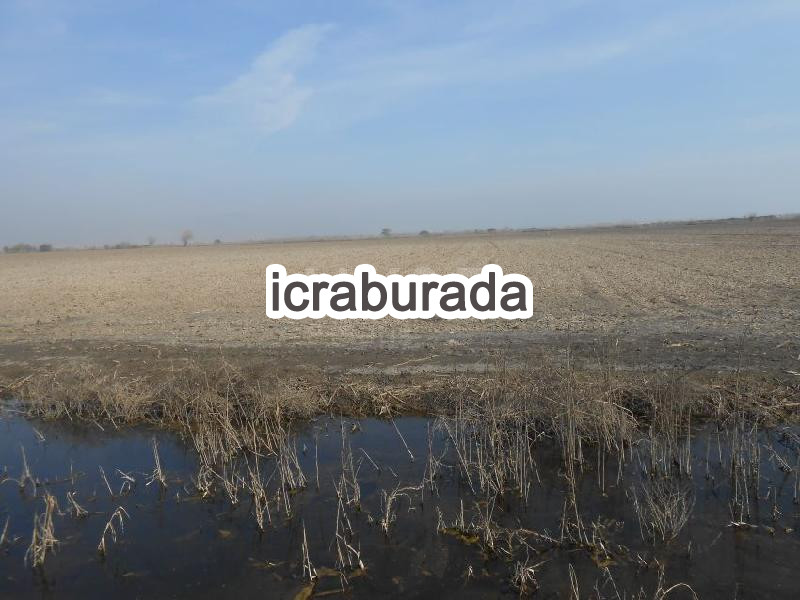 icralık  m2 Tarla İzmir Torbalı Yeniköy