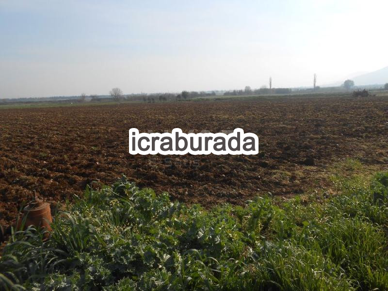 icralık  m2 Tarla İzmir Torbalı Ahmetli