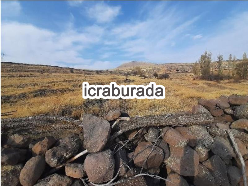 icralık  m2 Bag Niğde Merkez Yayla Yolu
