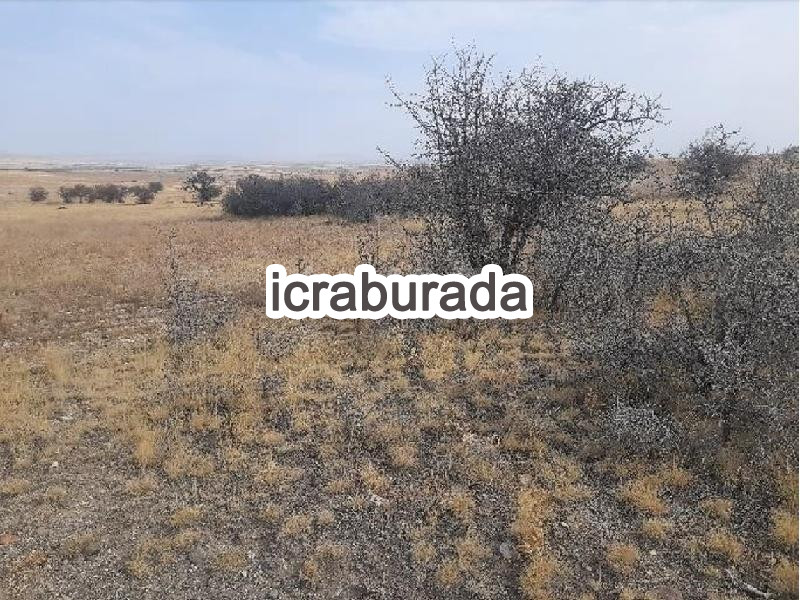 icralık  m2 Tarla Niğde Merkez Yayla Yolu