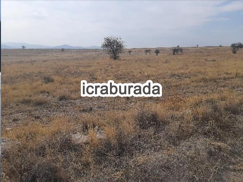 icralık  m2 Tarla Niğde Merkez Yayla Yolu