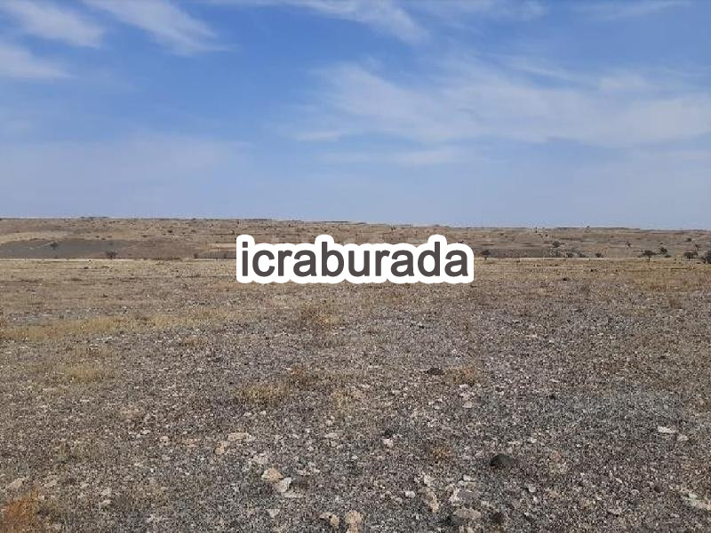 icralık  m2 Tarla Niğde Merkez Yayla Yolu