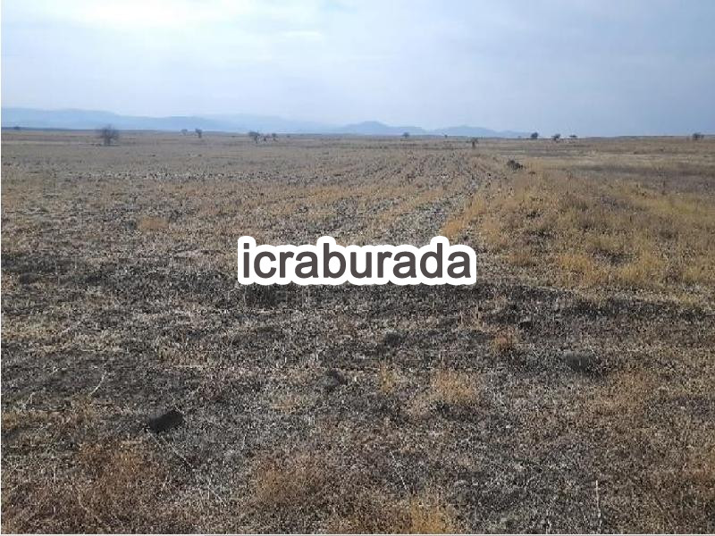 icralık  m2 Tarla Niğde Merkez Yayla Yolu