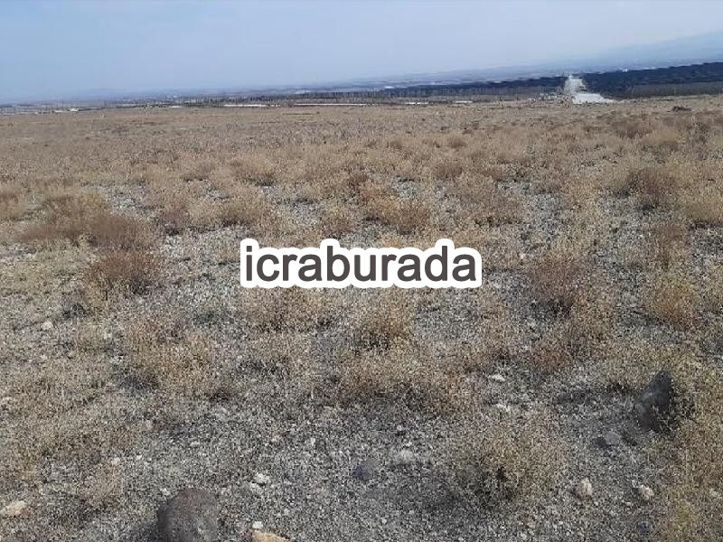 icralık  m2 Tarla Niğde Merkez Yayla Yolu