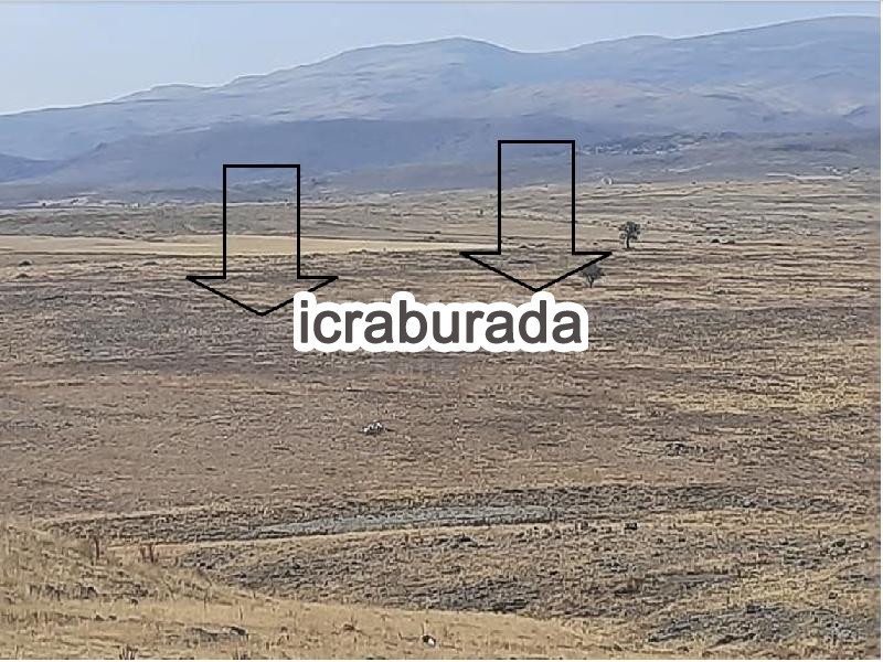 icralık  m2 Tarla Niğde Merkez Yayla Yolu