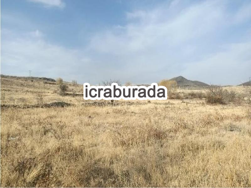 icralık  m2 Tarla Niğde Merkez Yayla Yolu