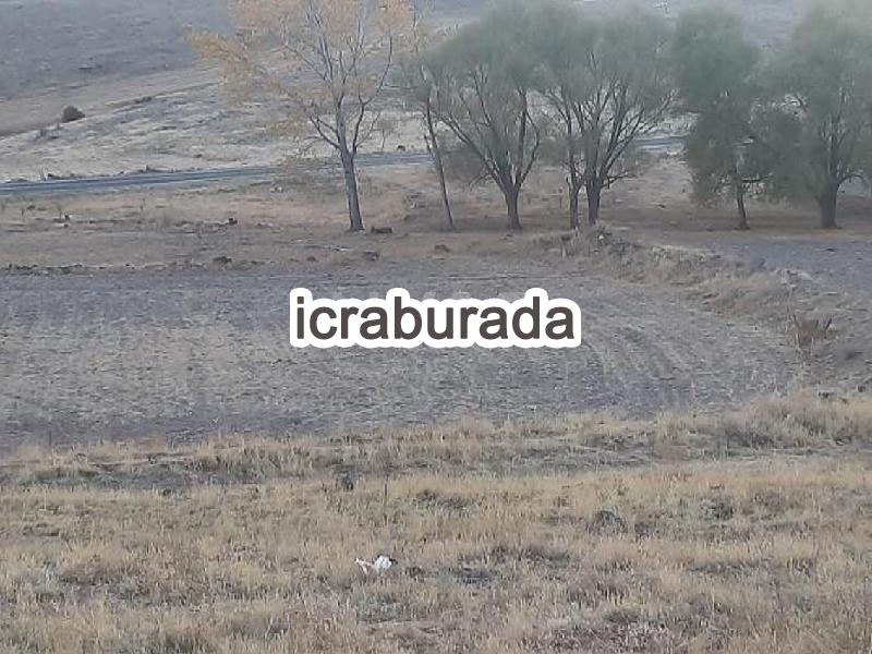 icralık  m2 Tarla Niğde Merkez Yayla Yolu