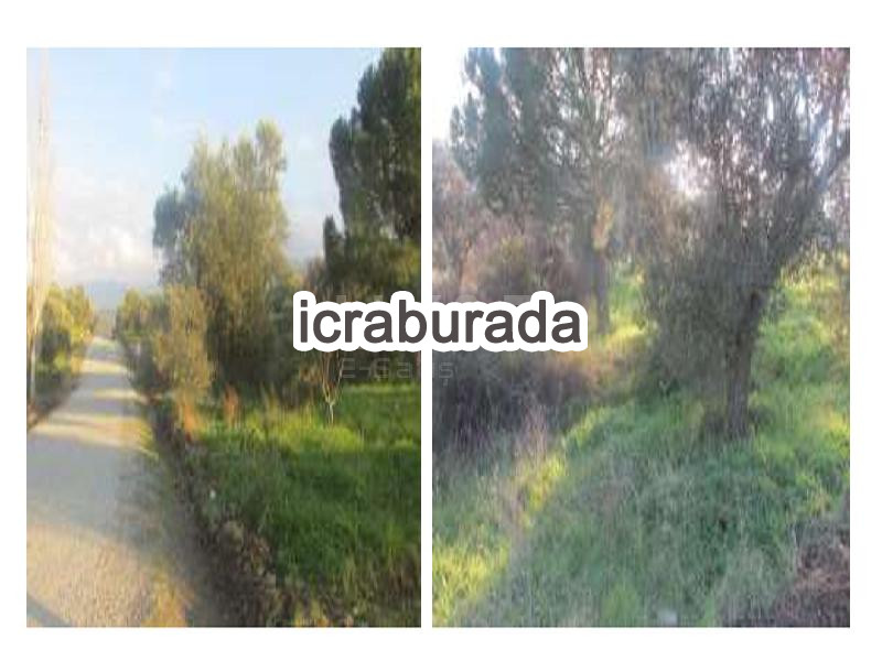 icralık  m2 Tarla Balıkesir Burhaniye Yunuslar