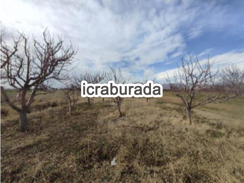 icralık  m2 Diger Niğde Merkez Sazlica/aşaği