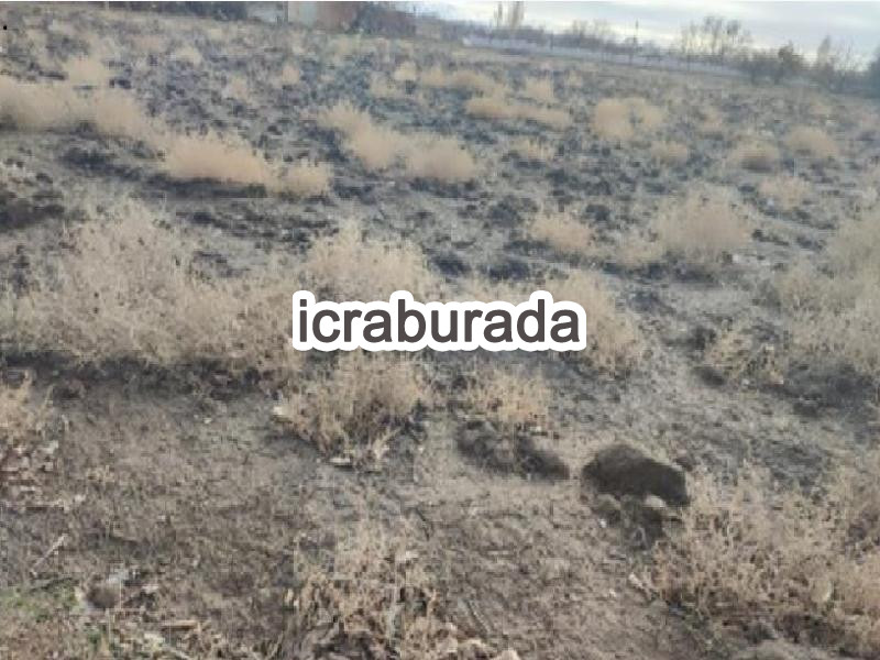 icralık  m2 Diger Niğde Merkez Aşağikayabaşi
