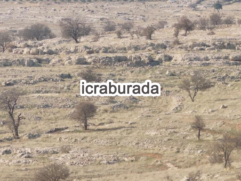 icralık  m2 Bag Mardin Artuklu Kabala