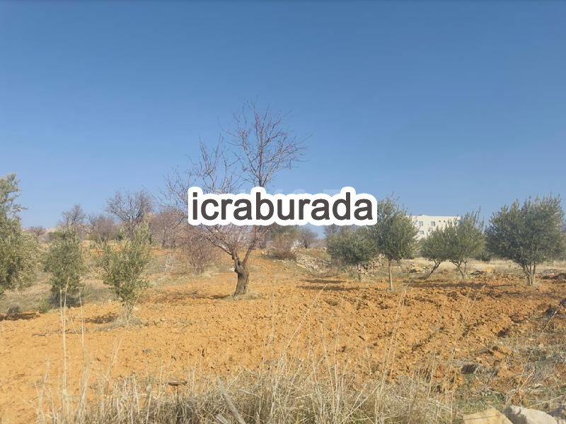 icralık  m2 Diger Mardin Artuklu Kabala