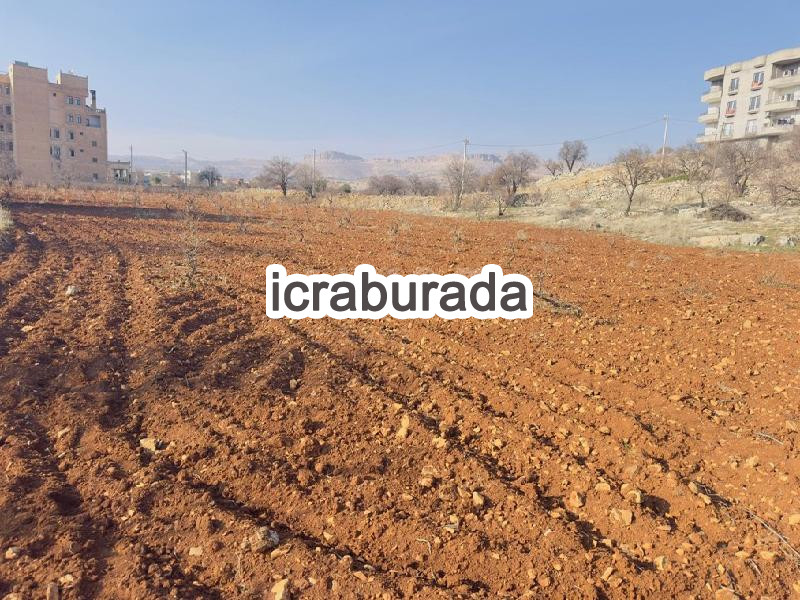 icralık  m2 Diger Mardin Artuklu Kabala