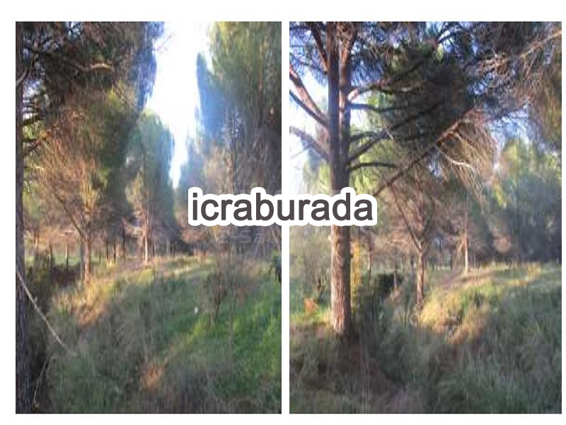 icralık  m2 Tarla Balıkesir Burhaniye Yabancilar