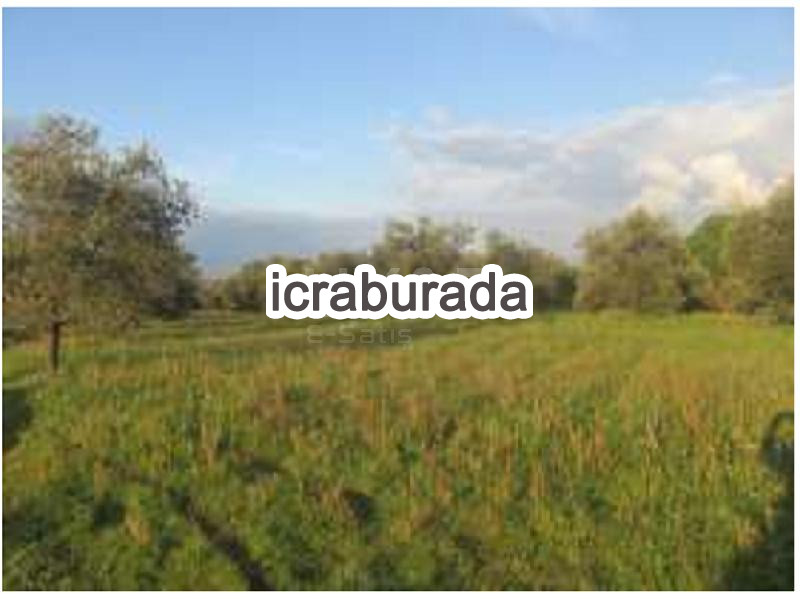 icralık  m2 Tarla Balıkesir Burhaniye Yunuslar