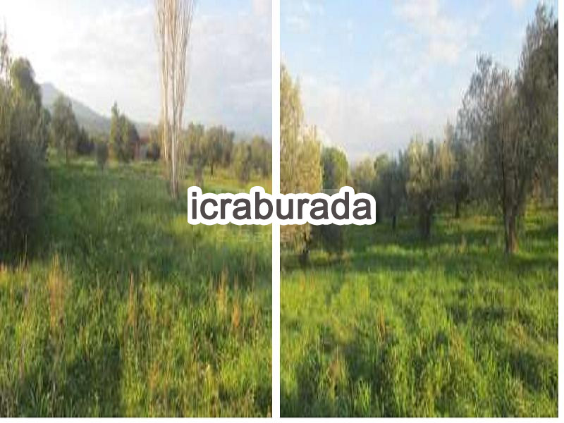 icralık  m2 Tarla Balıkesir Burhaniye Yunuslar