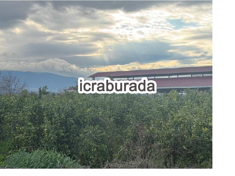 icralık  m2 Tarla Aydın Kuyucak Aydinoğlu