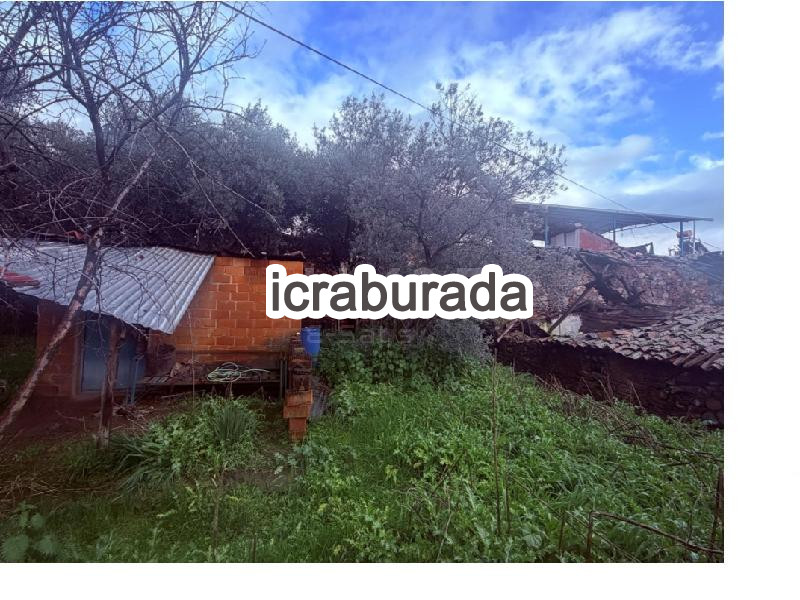 icralık  m2 Tarla Aydın Kuyucak Cumhuriyet