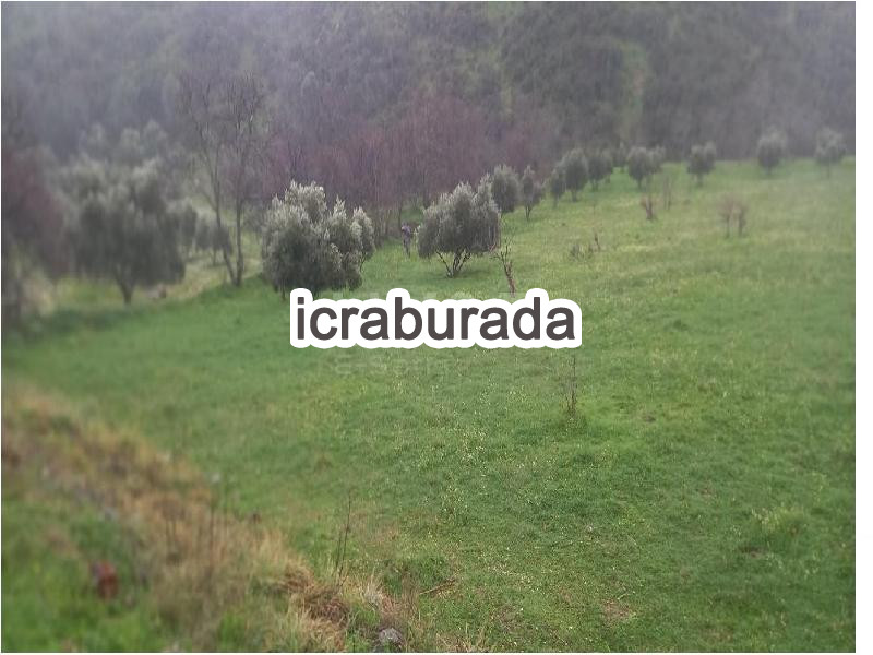 icralık  m2 Tarla Aydın Kuyucak Merkez Kurtuluş